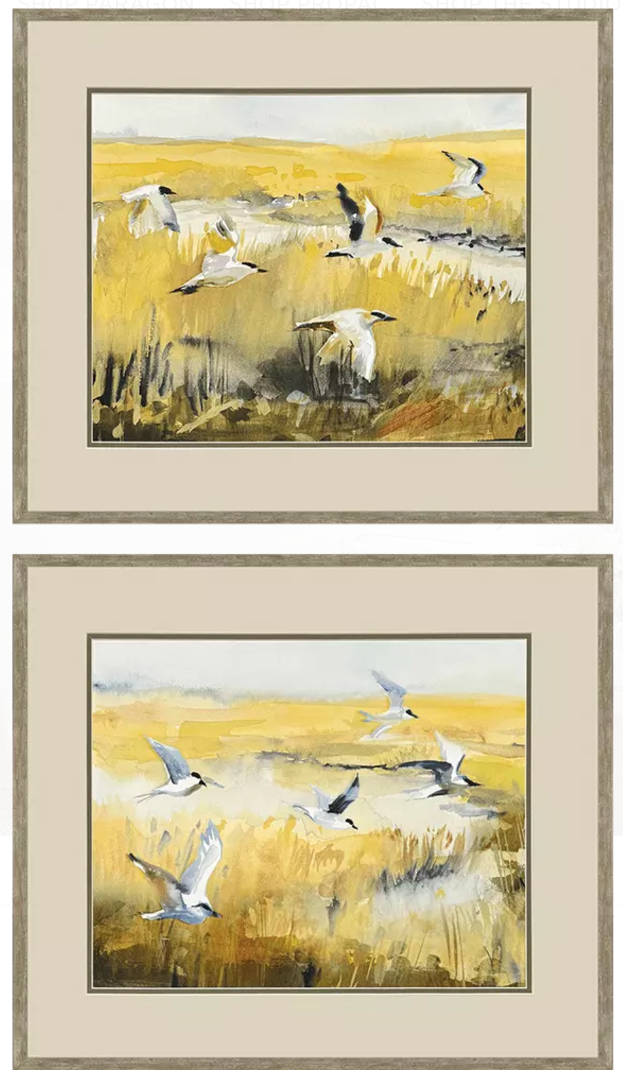 Terns on Marsh