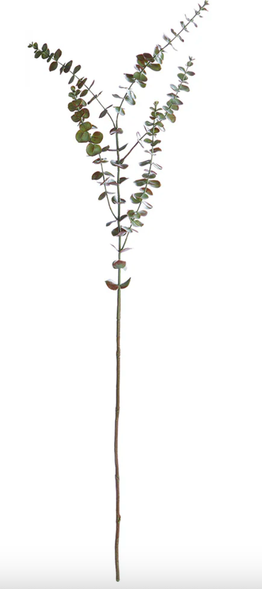 Eucalyptus Branch 44"