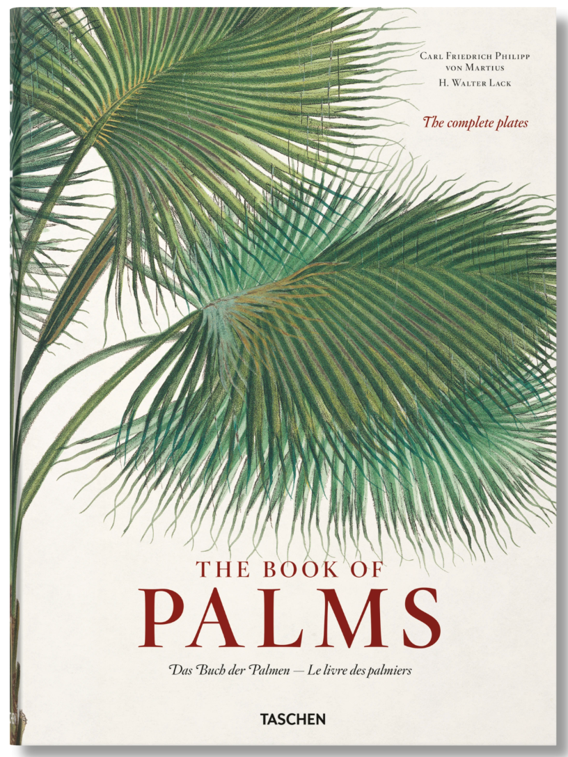 Martius. The Book of Palms