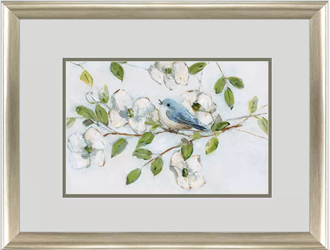 Blue Bird Morning