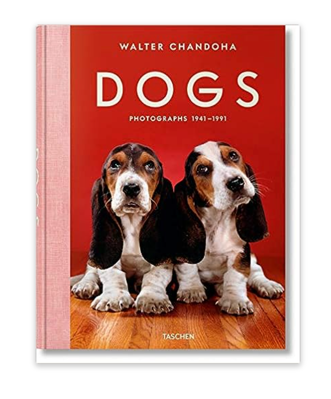 Dogs Photographs 1941-1991