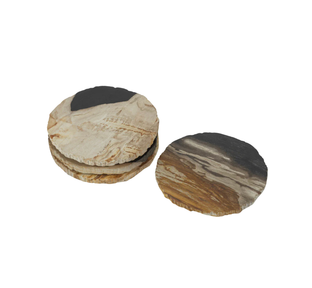 Curio Bay Petrified Wood Coasters