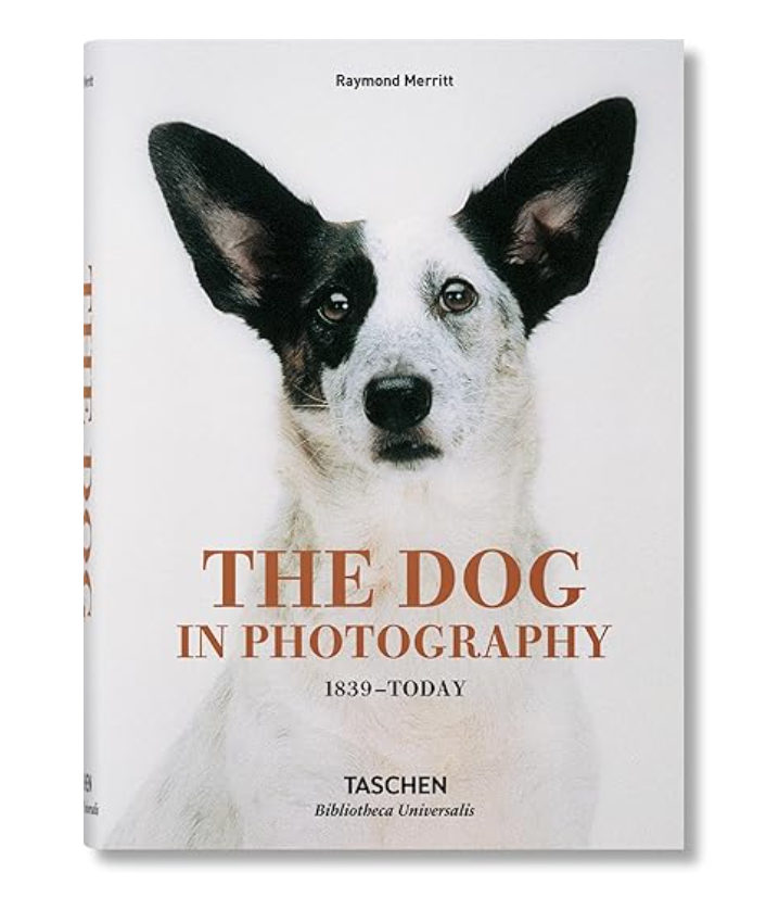 The Dog In Photography 1839-Today