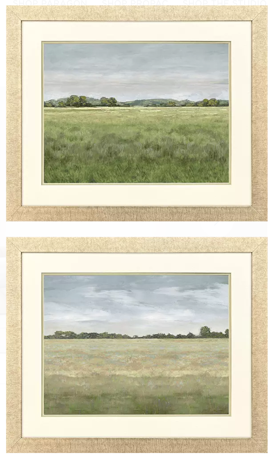 Quiet Meadow