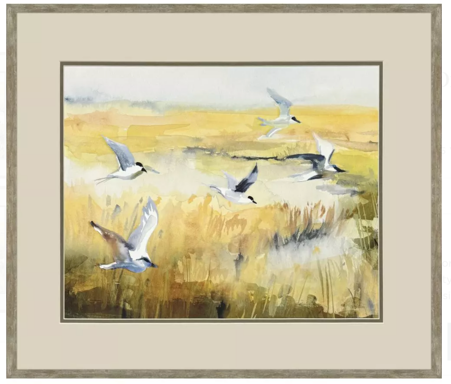 Terns on Marsh