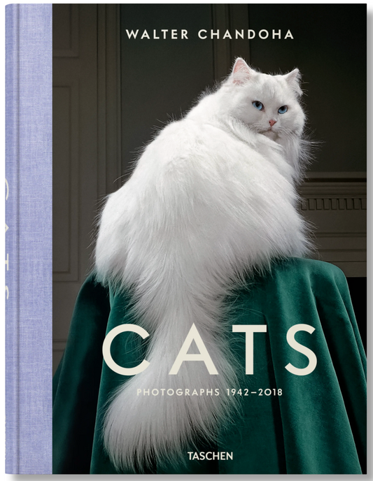 Walter Chandoha. Cats. Photographs 1942–2018