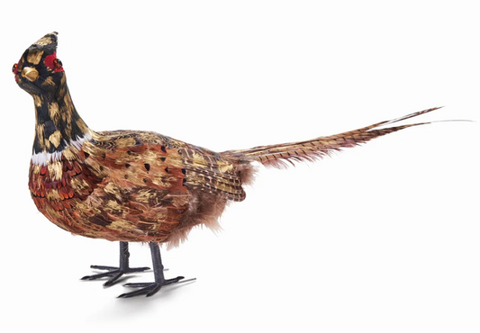 Golden Standing Pheasant