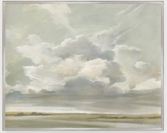 Capturing the Passing Cloud