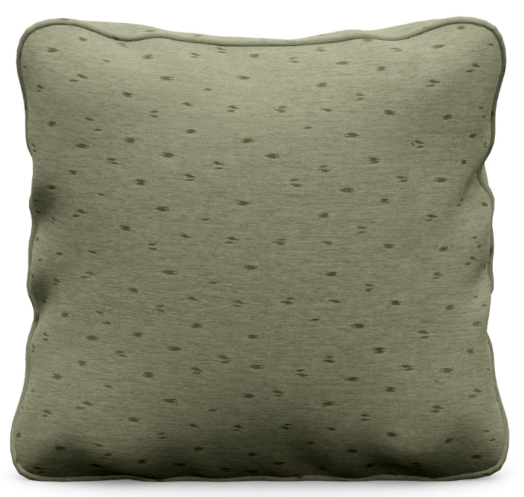Kanha Pillow