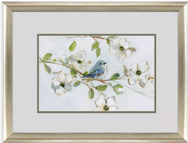 Blue Bird Morning