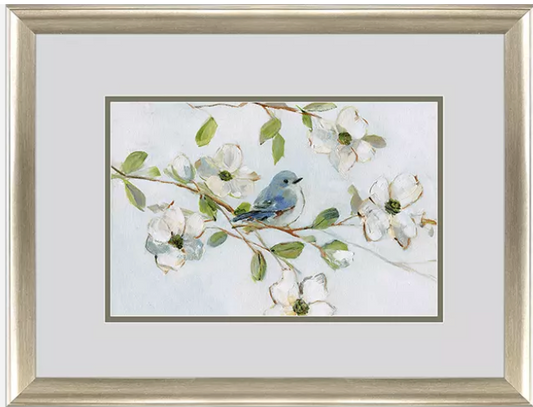 Blue Bird Morning