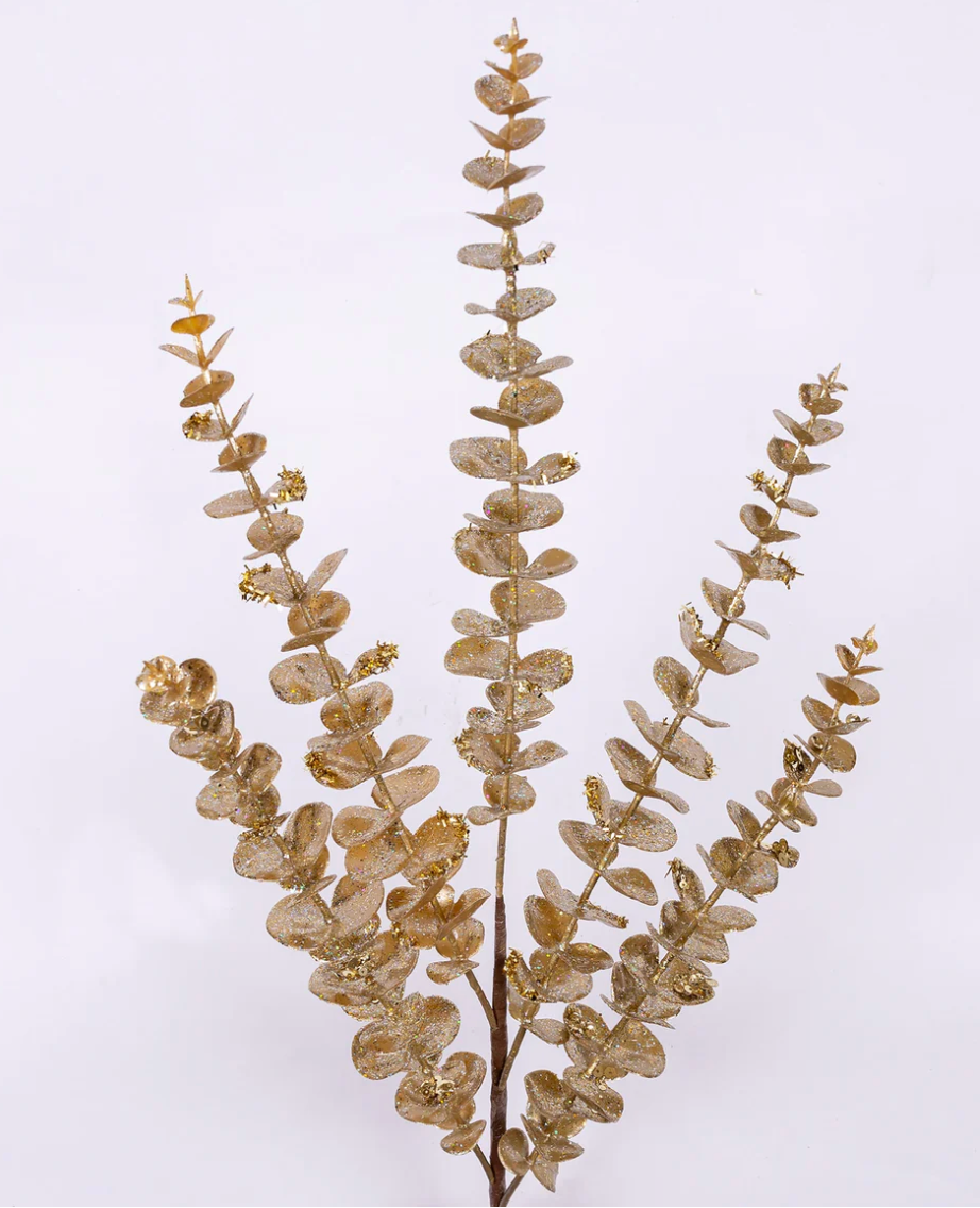 Gold Eucalyptus