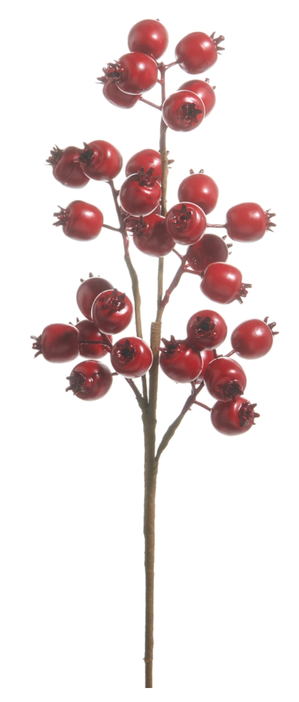 Matte Red Berry Pod Spray