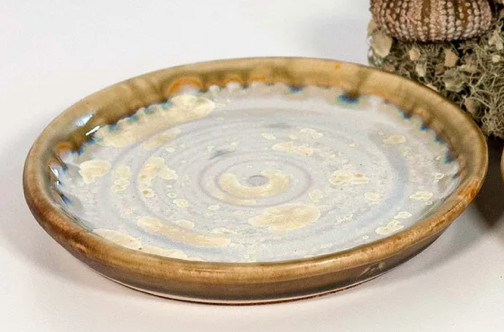 Coasters: Abalone & Tortoise