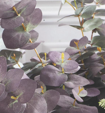 Load image into Gallery viewer, Powdered Purple Eucalyptus Spray
