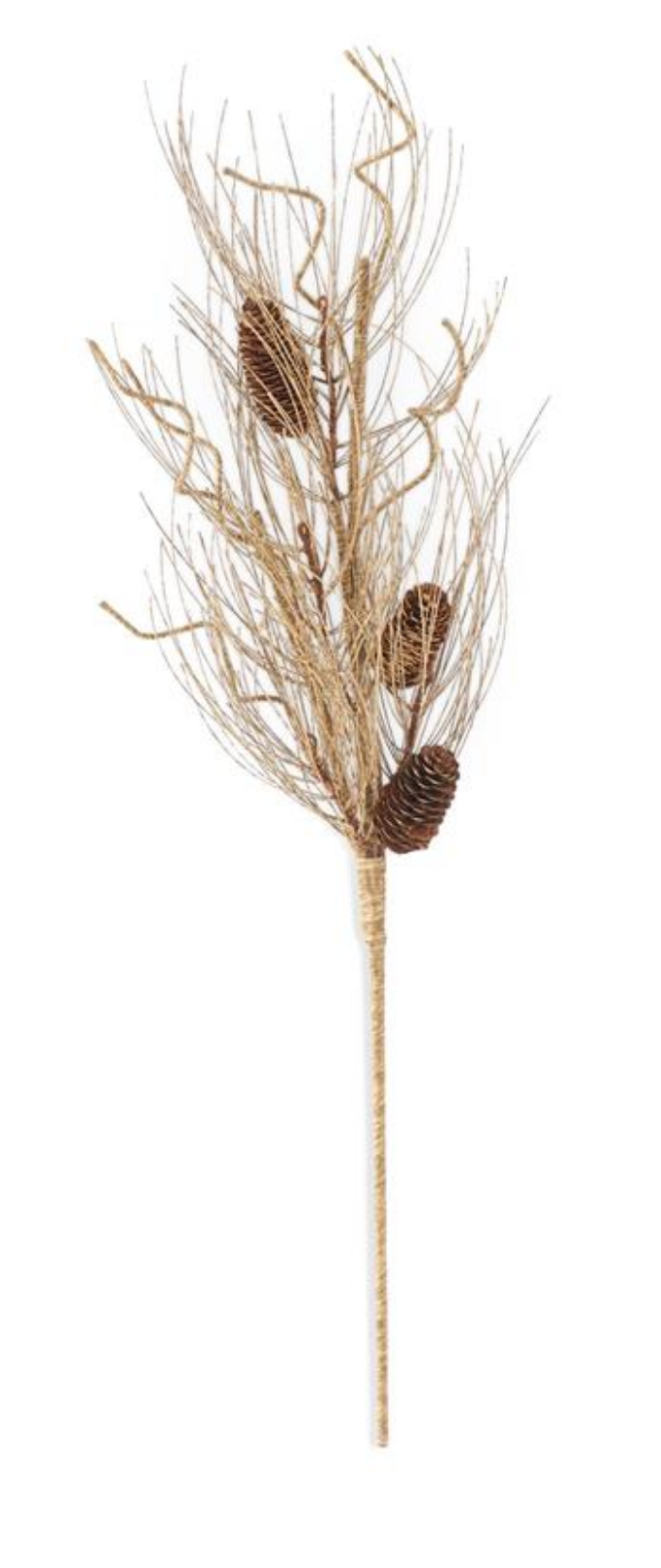 Needle Pine Branch With Pinecones